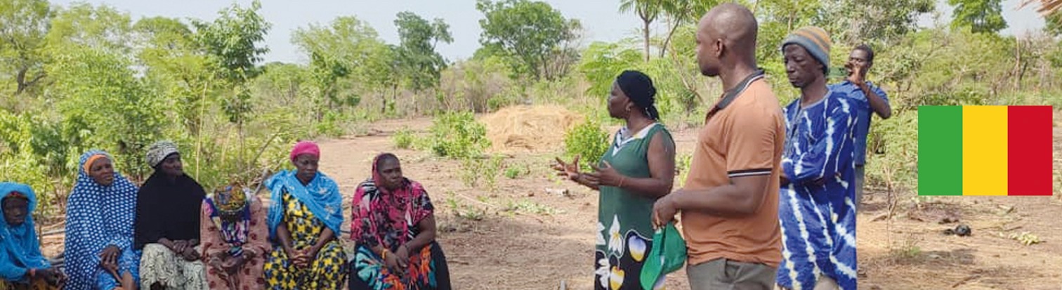 Agrar-Projekt in Mali